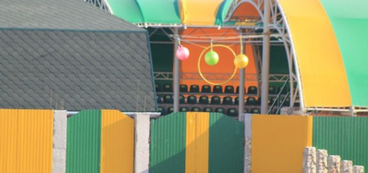 Открытие нового Дельфинария Немо