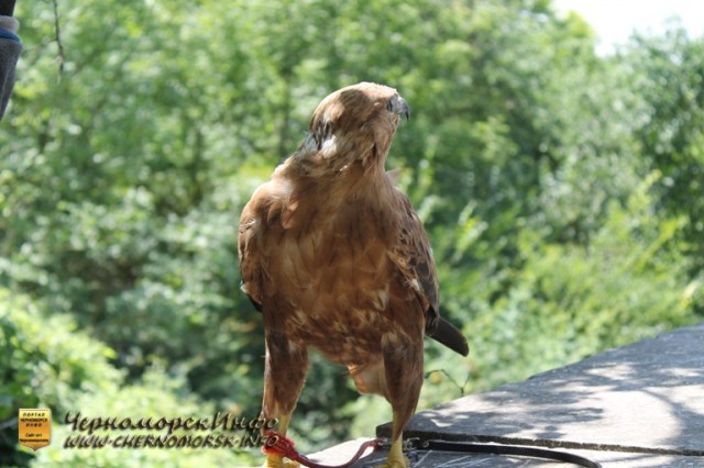 Чуфут-Кале - Воздушный город поблизости Бахчисарая