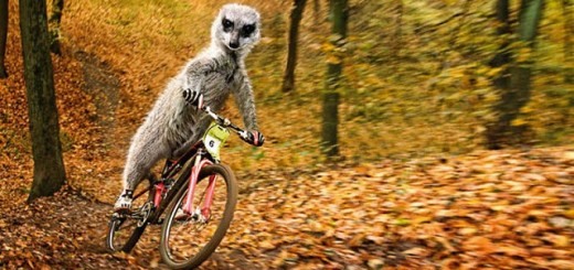 Велопробег по пгт Черноморское 2013