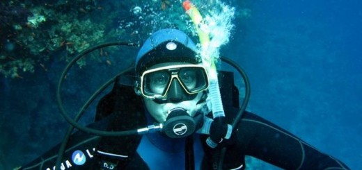 Дайвинг Крыма - должен жить!!!