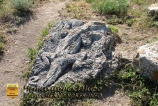 Застывшая в веках Саламандра