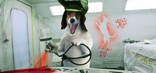 Автосервис - Черноморское