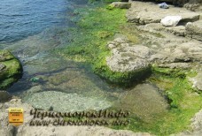 Берег скалистый