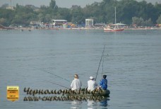 Вот так вот Вы можете тоже половить рыбку на удочку