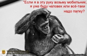 Крым – Терминалы не принимают оплату за мобильную связь