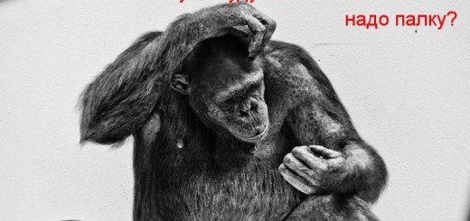 Крым – Терминалы не принимают оплату за мобильную связь