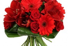 Доставка цветов по регионам