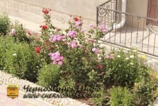 Частная база "Розовый Фламинго" Черноморское