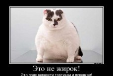 Горячая линия стоп-коррупция