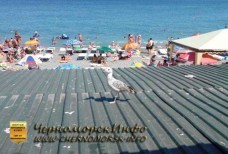 Сезон которого нет - Ялта 2014