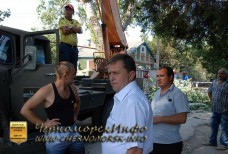 Спил тополей – улица Котовского