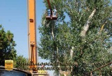 Спил тополей – улица Котовского