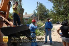 Спил тополей – улица Котовского