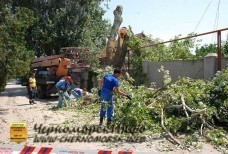 Спил тополей – улица Котовского