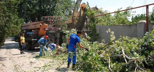 Спил тополей – улица Котовского