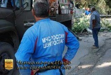 Спил тополей – улица Котовского