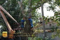 Спил тополей – улица Котовского