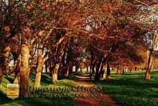 Воронцовский парк Черноморское - приговор истории