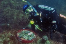 Подводный музей Атлеша Тарханкут