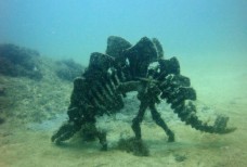 Подводный музей Атлеша Тарханкут