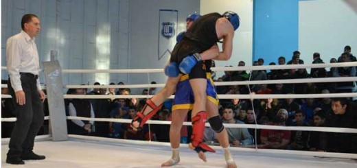 Смешанные единоборства спортклуб Черноморское