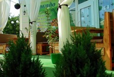 Кафе авокадо - летний дворик