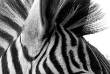 Ронат-Крым Канцтовары Бумага Бытовая Химия