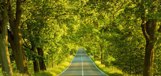 Есть надежда - быть хорошим дорогам или не быть?