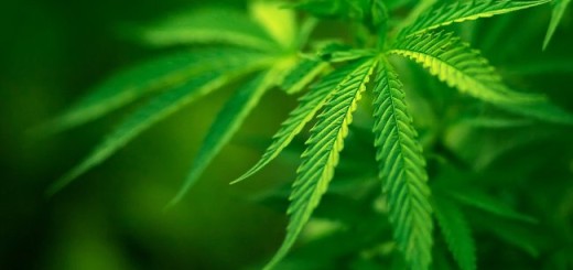 Операция "МАК" Черноморское