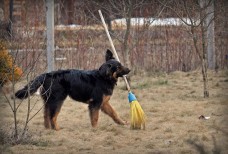 15 августа состоится обще-районный субботник