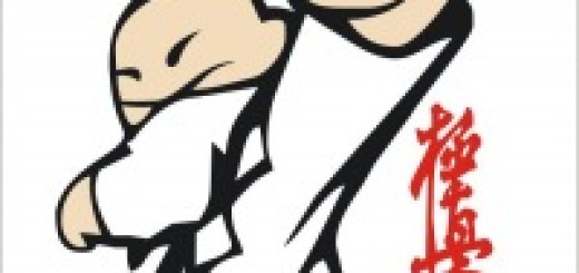 Киокушинкай каратэ