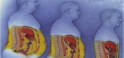 Почему растёт Ваш живот - ответ