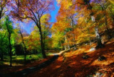 В Крымских горах осенью