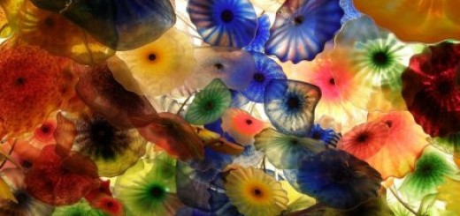 Цвети, Черноморский район