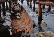 СУВОРОВСКИЙ РЕДУТ