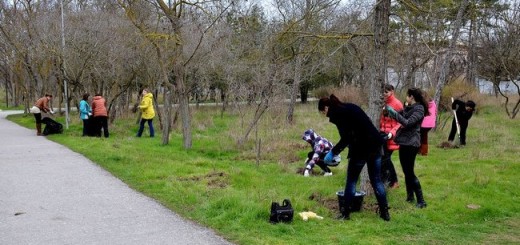 Первый Черноморский субботник закончился