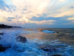 Крымский сезон 2016 - мнения политиков