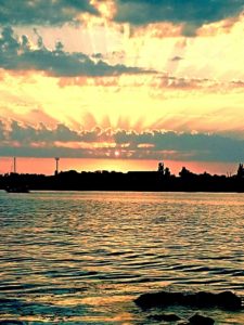 Крымский сезон 2016 - мнения политиков