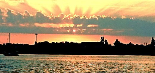 Крымский сезон 2016 - мнения политиков