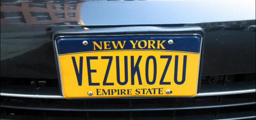 Автотеррористы задержаны Черноморской полицией