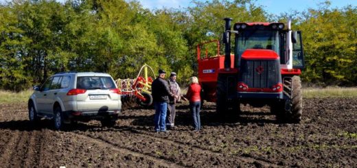 Посевные озимых культур Черноморский район