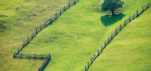 Министерство земельных отношений РК информирует