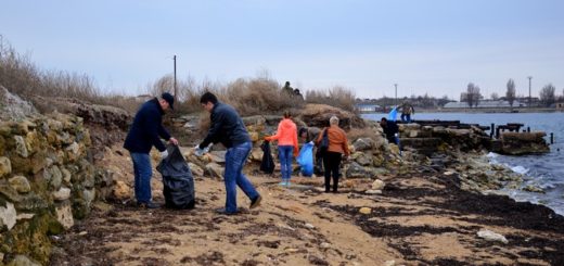 Экологический субботник состоялся
