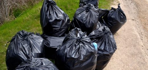 Активисты Черноморского района вышли на субботник