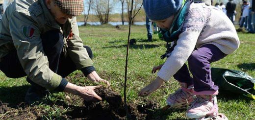 Отзовитесь Светланки и Серёжки