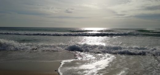 Позитивный коп на пляже в Громово был оправдан золотым кольцом