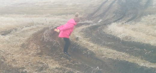 Участок трассы Таврида между Селом Урожайное и Живописное