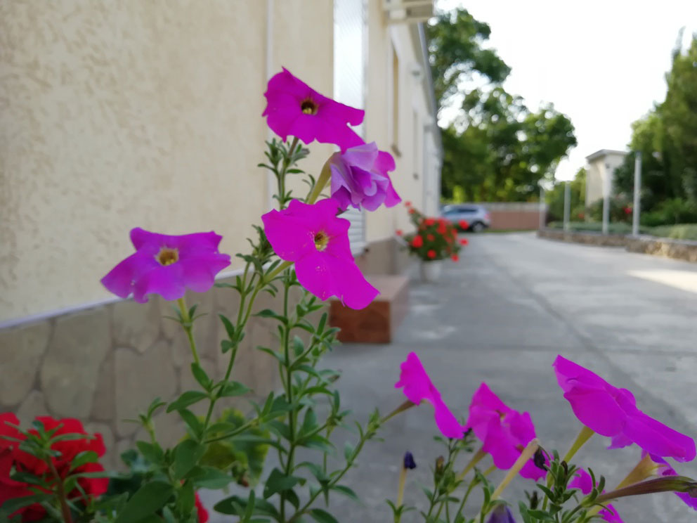 У Олеси в гостях