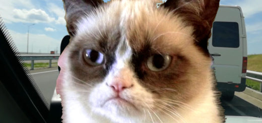 Как объехать Тавриду по Тавриде и быстро попасть в Симферополь