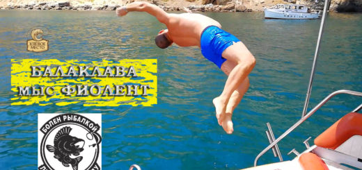 Балаклава прогулка на катере на мыс Фиолент Дельфины диверсанты